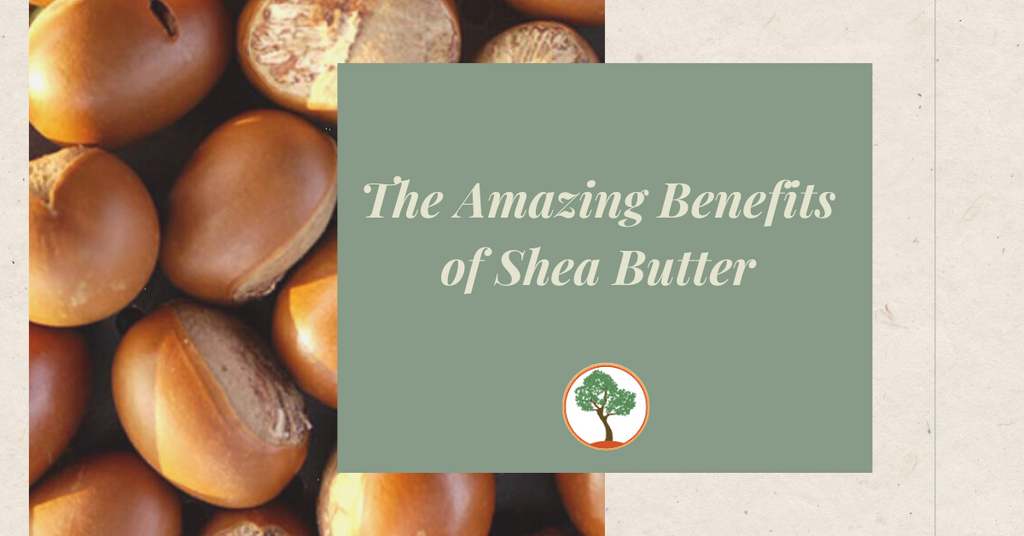 The Amazing Benefits of Shea Butter